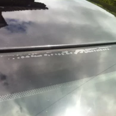 windscreen delamination,what causes windshield delamination,how to fix delamination windshield,windscreen repair